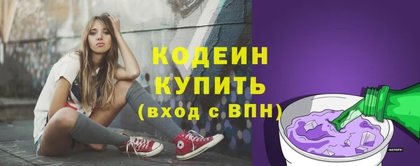 эйфоретик Майский