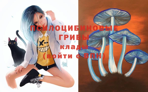 эйфоретик Майский