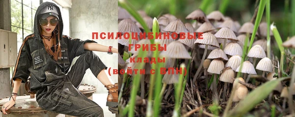 ГАЛЛЮЦИНОГЕННЫЕ ГРИБЫ Магадан