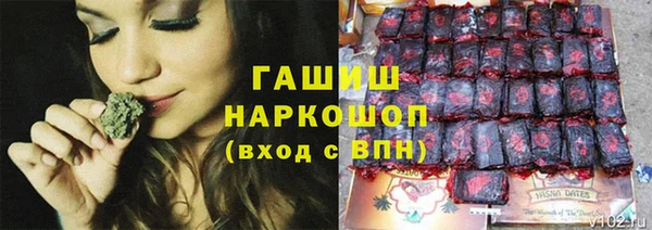эйфоретик Майский