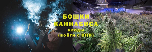 ГАЛЛЮЦИНОГЕННЫЕ ГРИБЫ Магадан